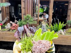 -菌自由丨野生菌火锅特色庭院餐厅(丽江古城店)