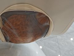 -瑞鹏宠物医院·骨科·猫科·内科(第一中心)