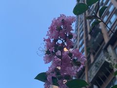 -海底捞火锅(龙湖三千集店)