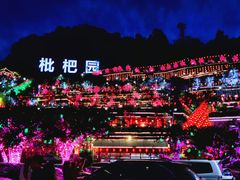 -枇杷园食为鲜火锅(南山店)
