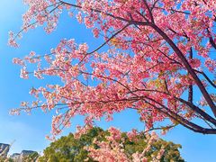 -新江湾城公园
