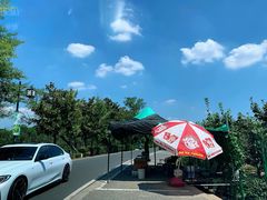 -树山生态村