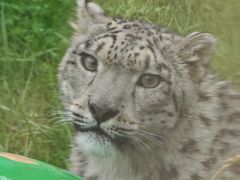 -青藏高原野生动物园