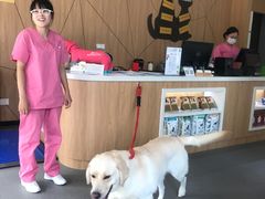 -爱妮康宠物医院·干细胞免疫细胞·肿瘤·心脏(张江店)