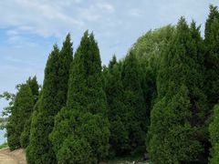 -阳澄湖半岛旅游度假区