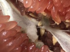 -永辉超市(嘉定宝龙广场店)