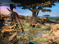 -国家自然博物馆