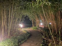 -青枫公园