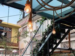 -喵屿·大理花园猫咖