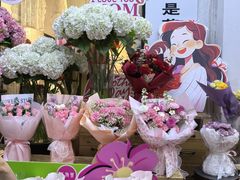 -溪岸路花鸟市场