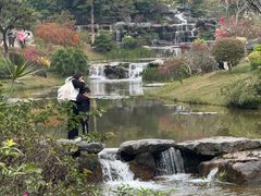 -东莞植物园