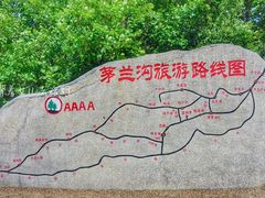 -茅兰沟国家森林公园