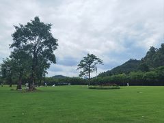-顺峰山公园