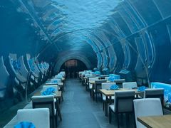 -涛·海底餐厅·美人鱼·自助餐·海底隧道(三亚海棠湾洲际度假酒店)