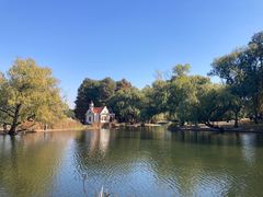 -上海共青森林公园