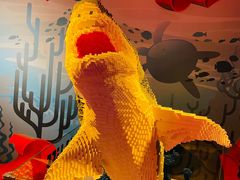 -沈阳海洋探索中心