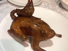 -琬苑鸽庄·川粤融合菜(解放碑总店)