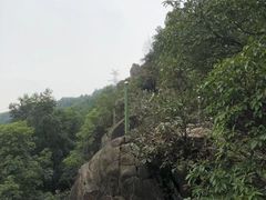 -南山植物园