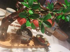 -唐猫庭院·千年陕菜(大唐不夜城店)