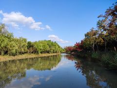-上海浦江郊野公园-5号停车场