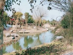 -鹅湖玫瑰文化园