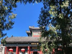-听鹂馆饭庄(颐和园店)