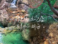 -南海湾森林生态园