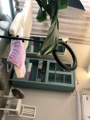 -一个差评成就的纹眉店