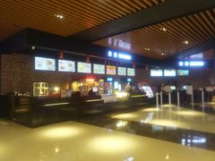 -SFC上影百联影城(川沙IMAX店)
