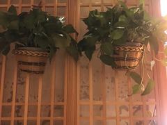 -管氏翅吧(国展店)