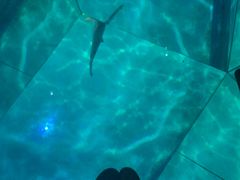 -暹罗海洋世界