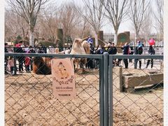 -长白岛森林公园