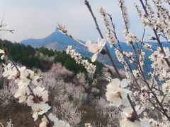 -定都峰