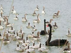 -艾溪湖湿地公园