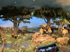 -国家自然博物馆