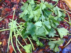 -金渝海鲜烧烤万州烤鱼店