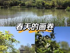 -南山风景名胜区