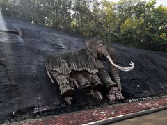 -哈尔滨北方森林动物园