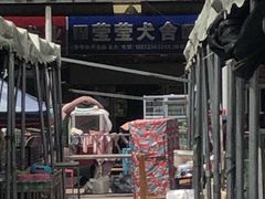 -中环花鸟鱼虫市场