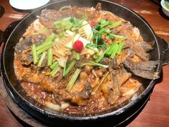 -老板恋上鱼(高新万达店)