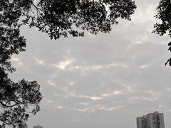 -南宁南湖公园