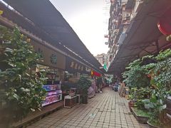 -武汉花鸟市场