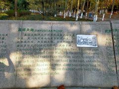 -八大关景区