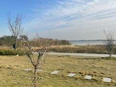 -七的湖·晚芳亭·阳澄湖农家菜·大闸蟹(莲花岛店)
