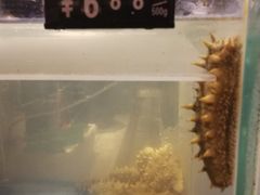 -甄品麦哲伦海鲜和牛自助(万达广场店)