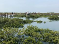 -北海金海湾红树林生态旅游区