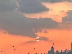 -星海广场
