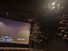 -武商摩尔影城(国广IMAX激光店)