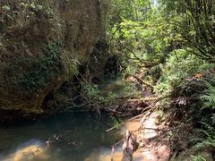 -怀托摩萤火虫洞