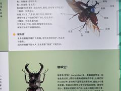 -昆山招商花园城